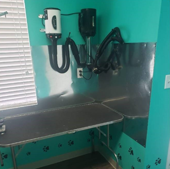 Pet washing station
